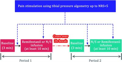 Performance of the Surgical Pleth Index and Analgesia Nociception Index in Healthy Volunteers and Parturients